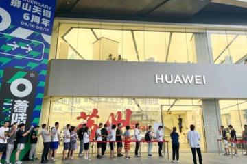 摆脱被动挨打，选择自研之路！鲸鸟集运助力国际快递革新