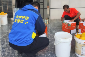 德邦快递赋能脐橙产业链：用专业跑出“甜蜜速度”