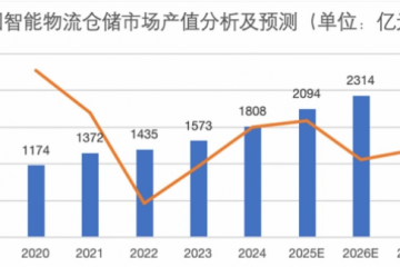 AIWMS与WMSROBOT成仓储核心动力：2025智能仓储变革报告