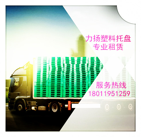 惠州塑料托盘租赁出租