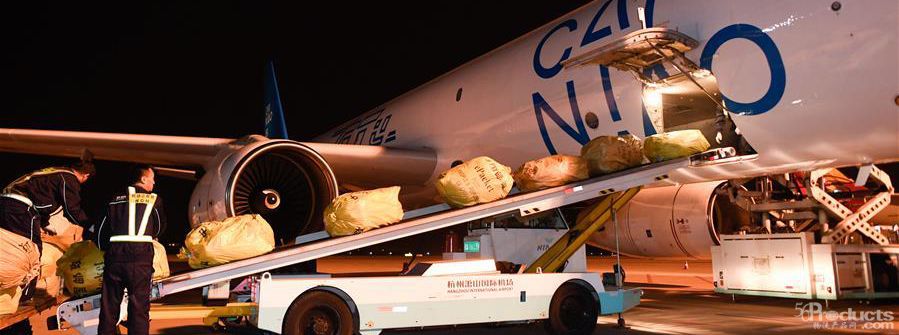 1572426961134586.jpg plane.jpg