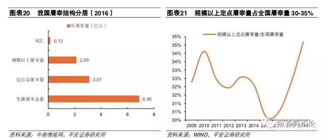 1580864803168039.jpeg 16.jpeg