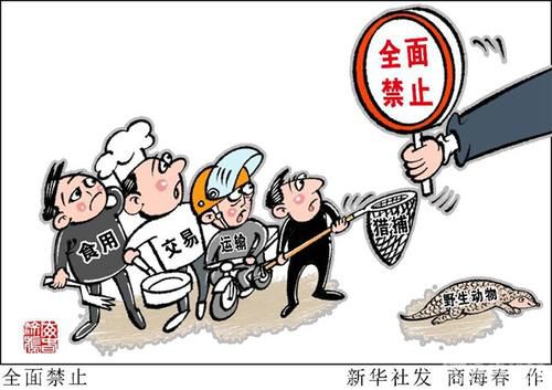 1583820200133966.jpg 3.jpg