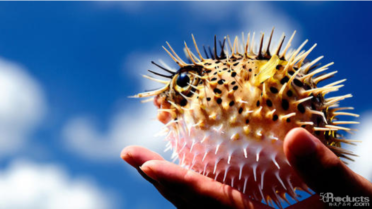 1606178826946527.png 2.png