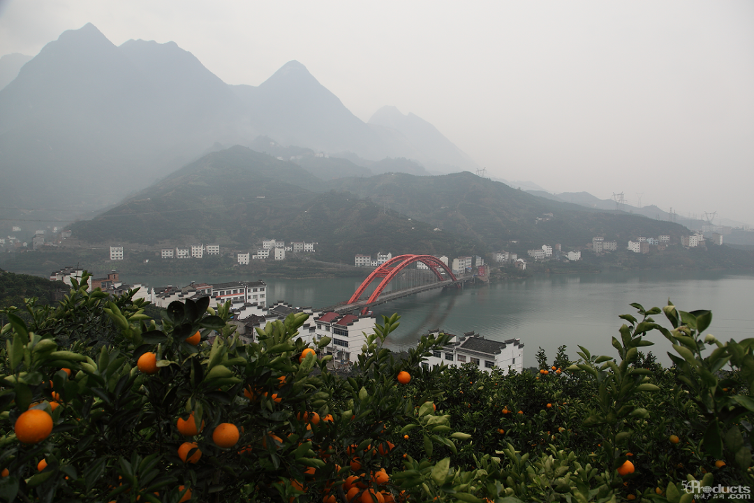 微信图片_20210420114805.png